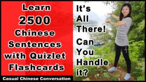 instructions on how to use our HSK Vocabulary Flashcards