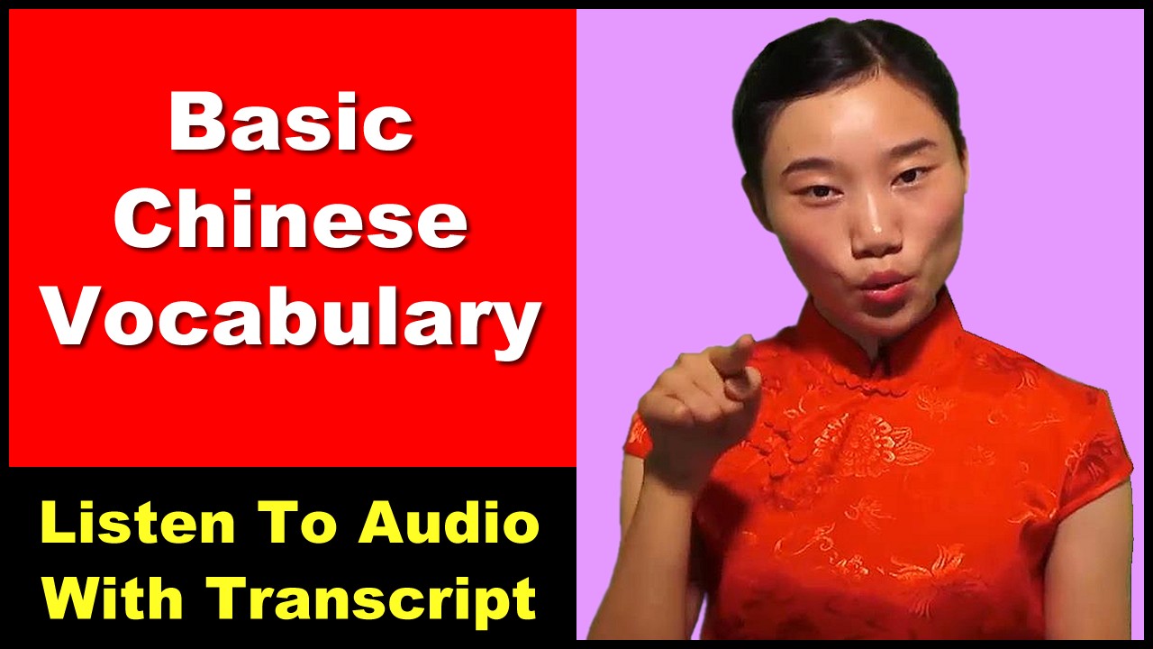 english to chinese translation with voice