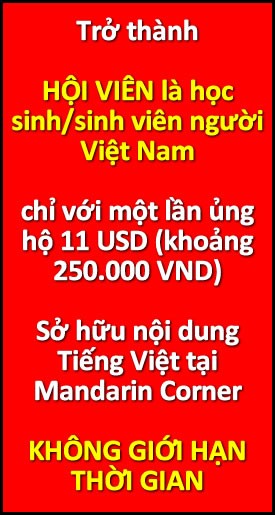 vietnamese -vietnamese supporter